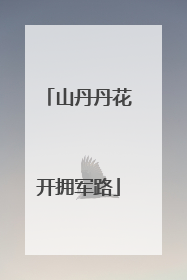 山丹丹花开拥军路
